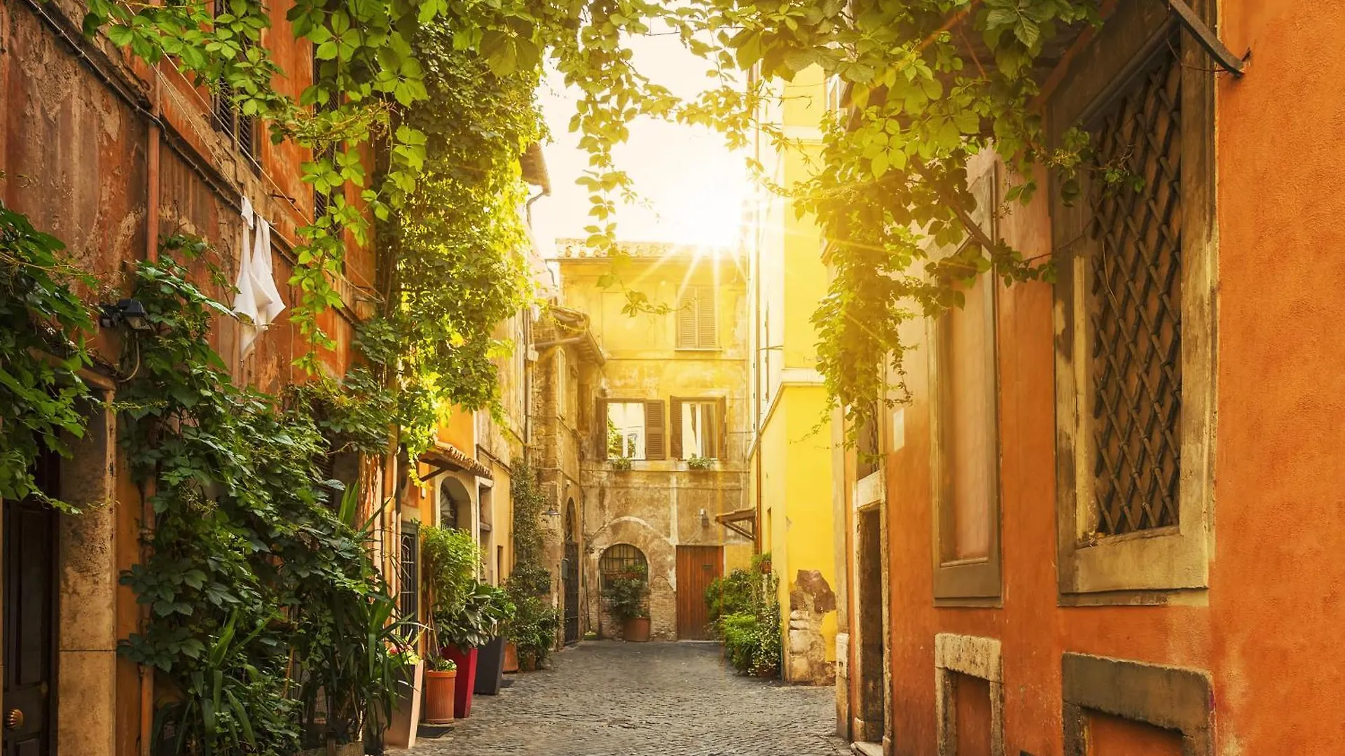 Casa Cecilia Roma Apartment  Rome